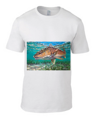 Men Tshirt