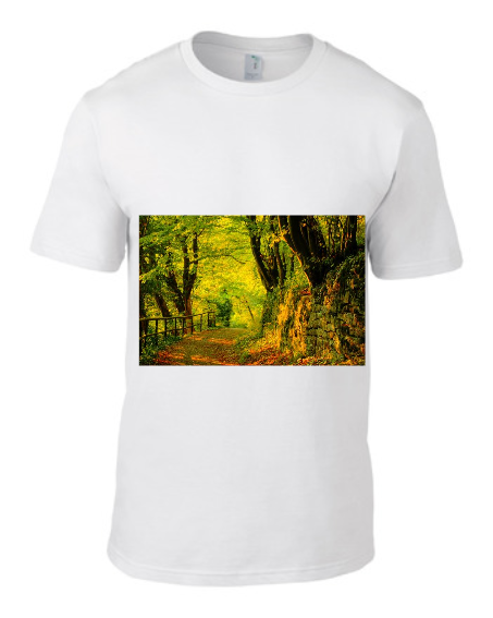 Men Tshirt