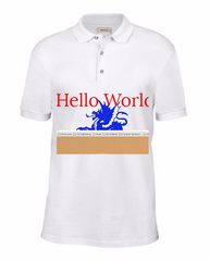 Men Tshirt with collers