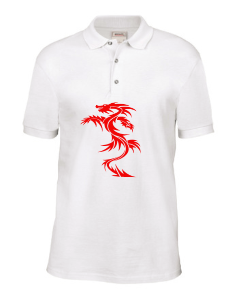 Men Tshirt with collers